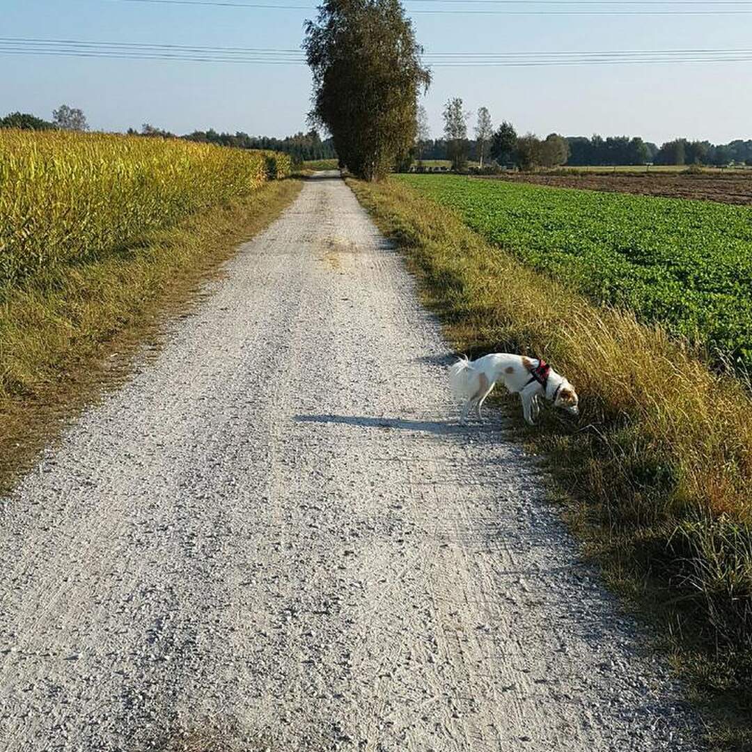 Unterwegs