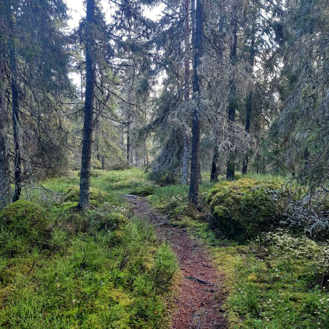 KathigoesSweden