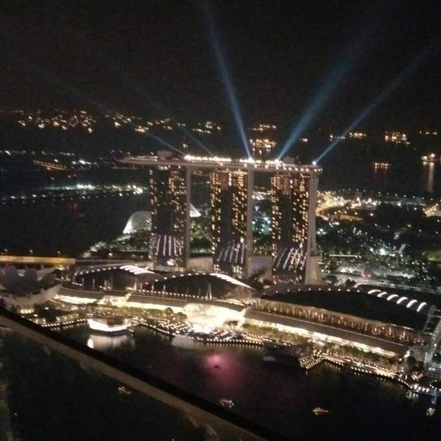 新加坡記憶回覆之瘋狂行