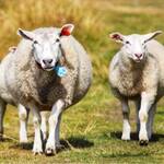 Wir sind dann mal weg...