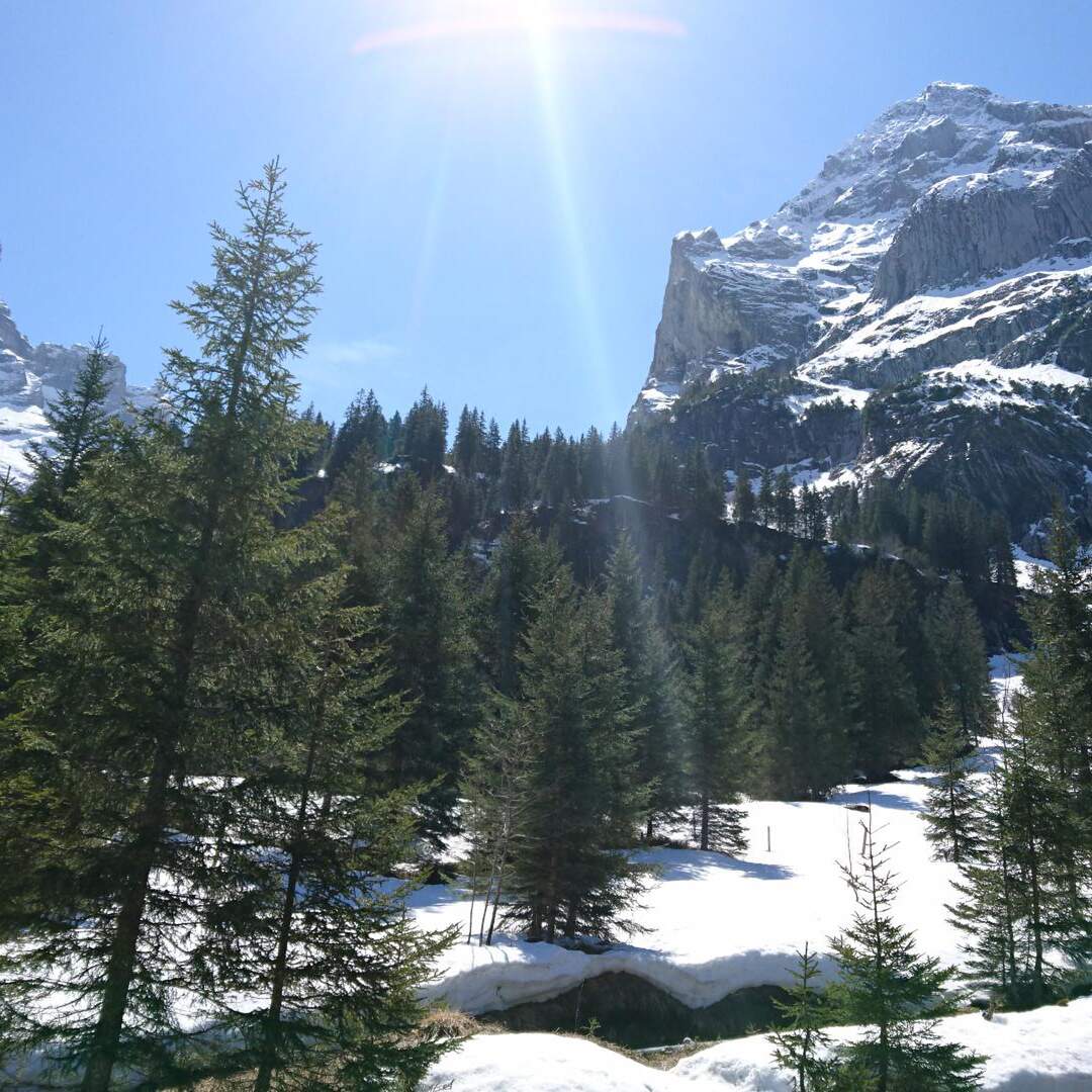 Roadtrip-Schweiz-Italy-Austria