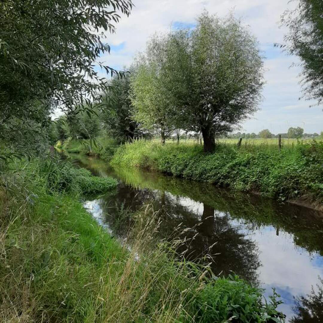 WoMo Tour an den Niederrhein