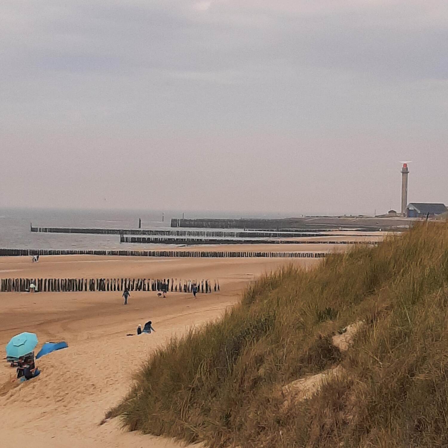 Bis ans Meer- Zeeland