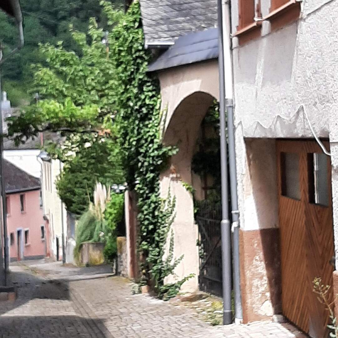 Entlang der Mosel