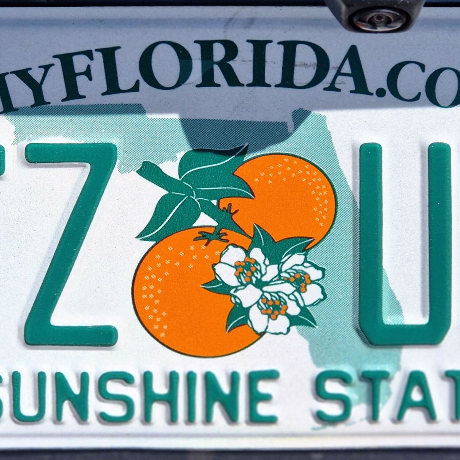 Florida 2025