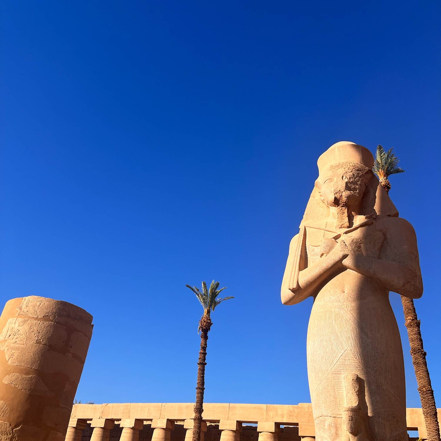 Egypt Luxor Cairo