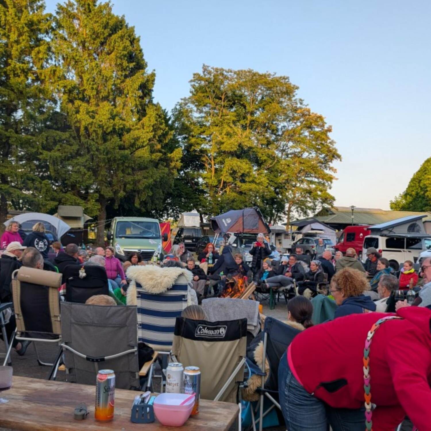 Vanlifewikinger Goldenstedt
