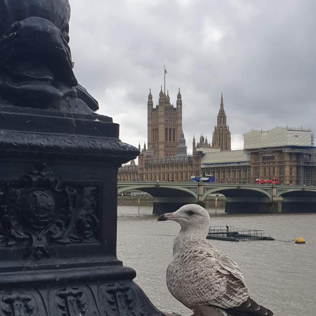 UK and Paris Sept. Oct. 2019