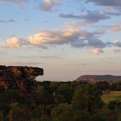 Kakadu