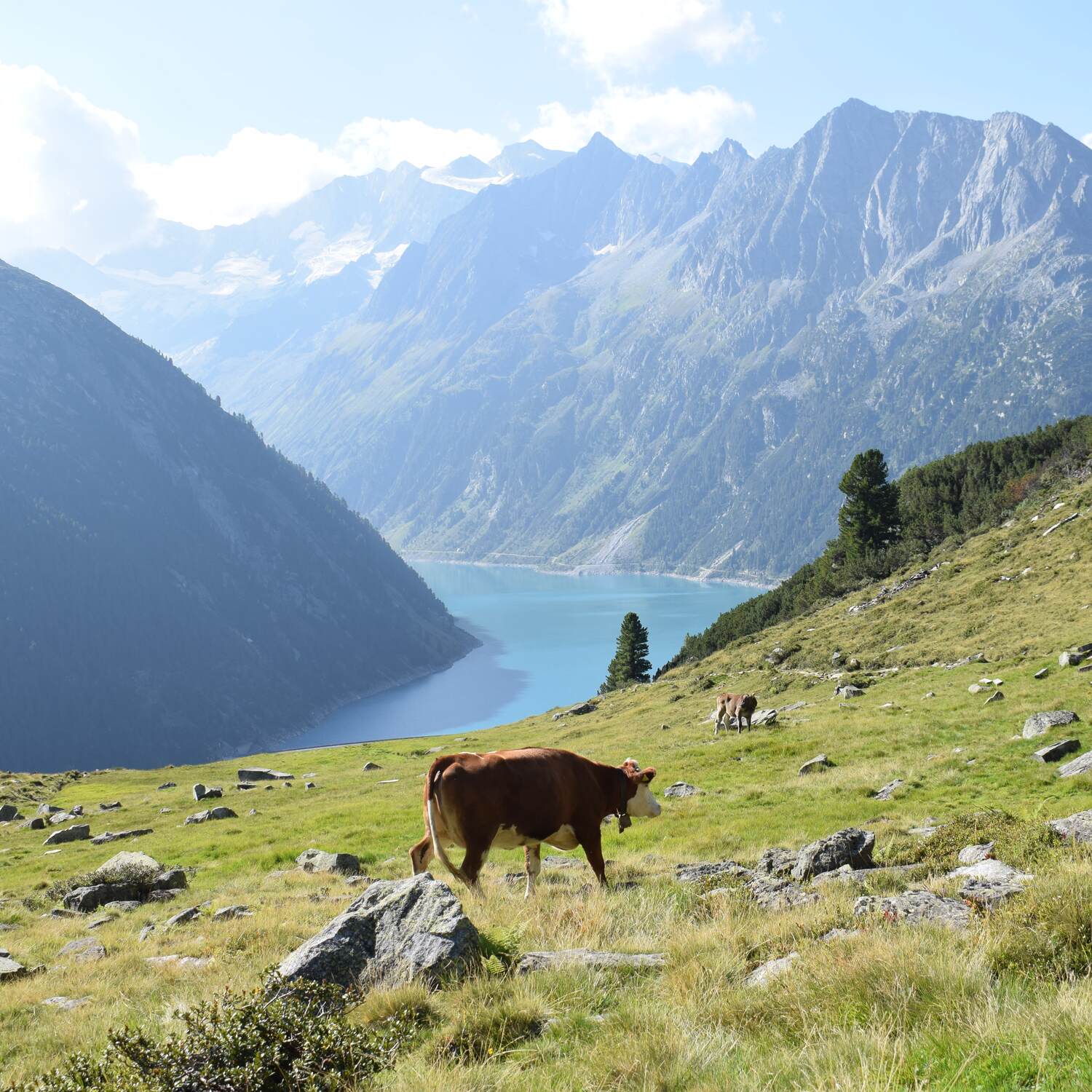 Zillertal 2024