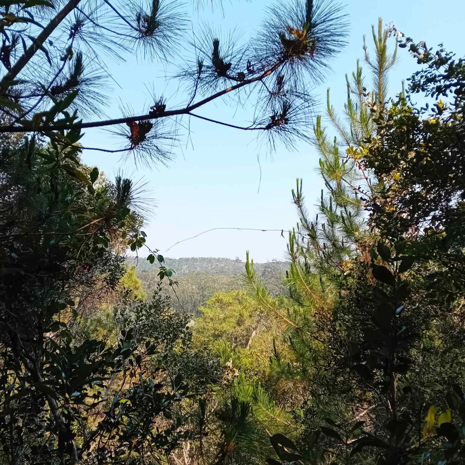 Madagascar