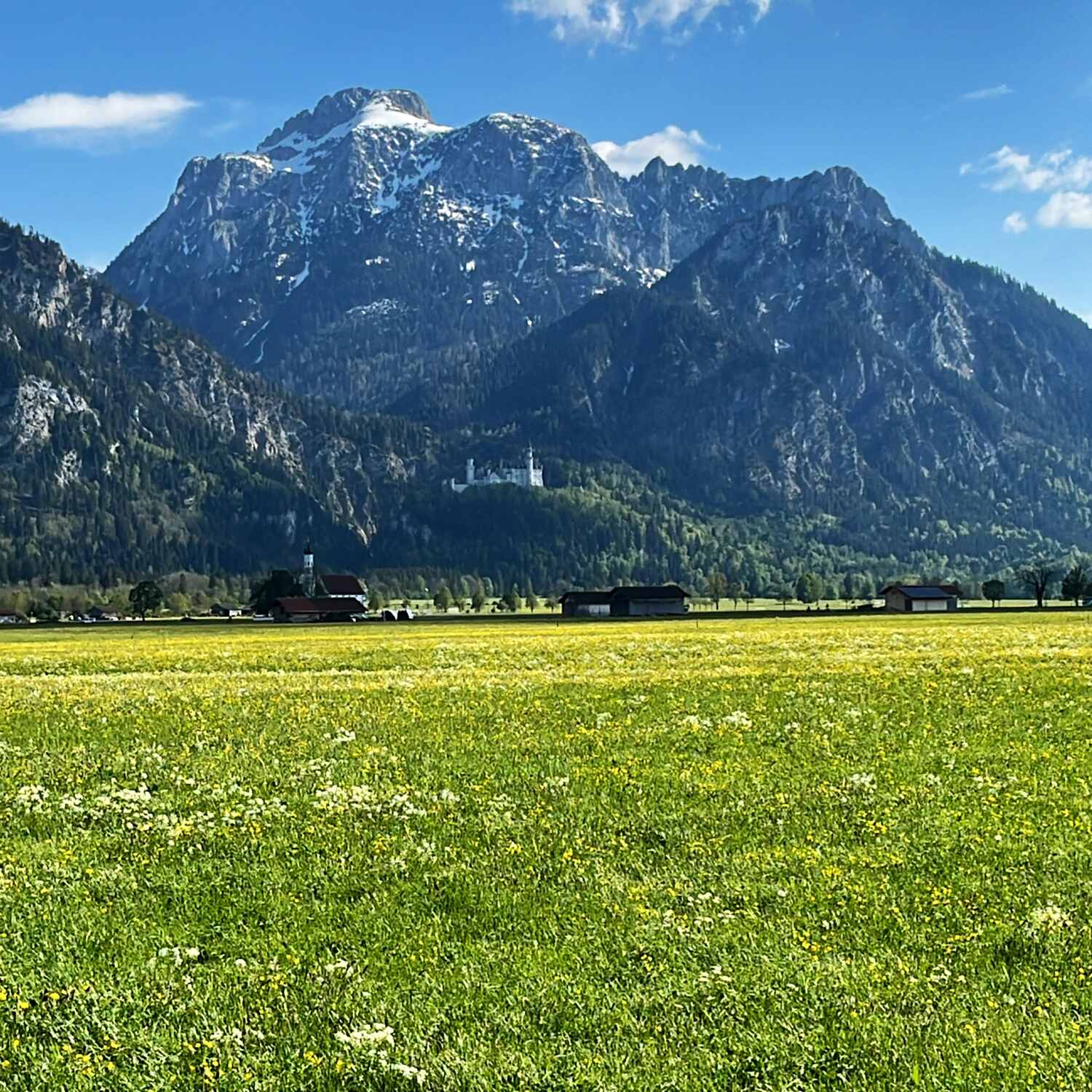 Schwangautour
