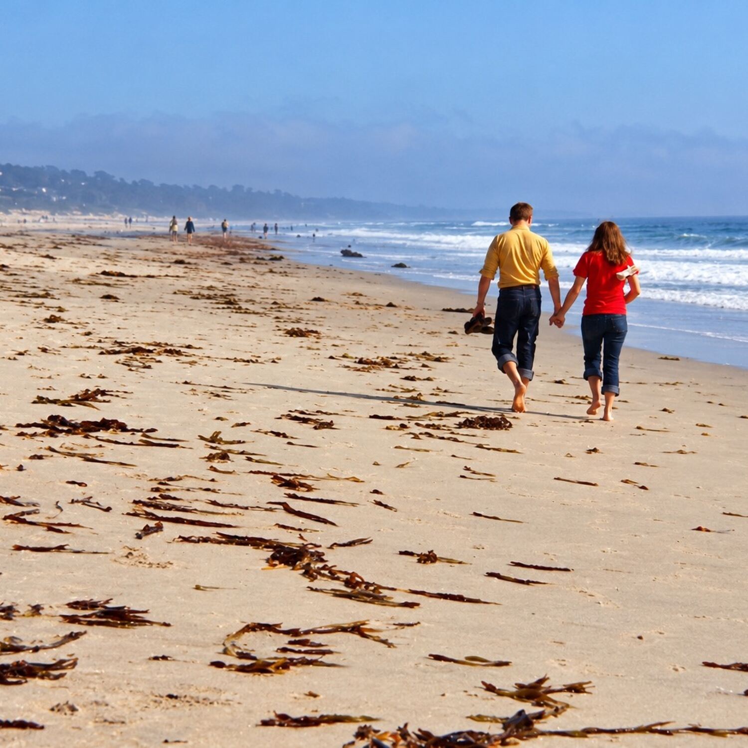 The Magic of Monterey