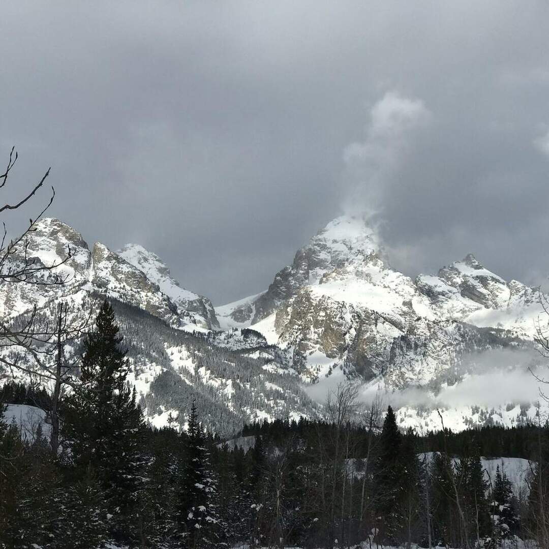 Winter Wonderland