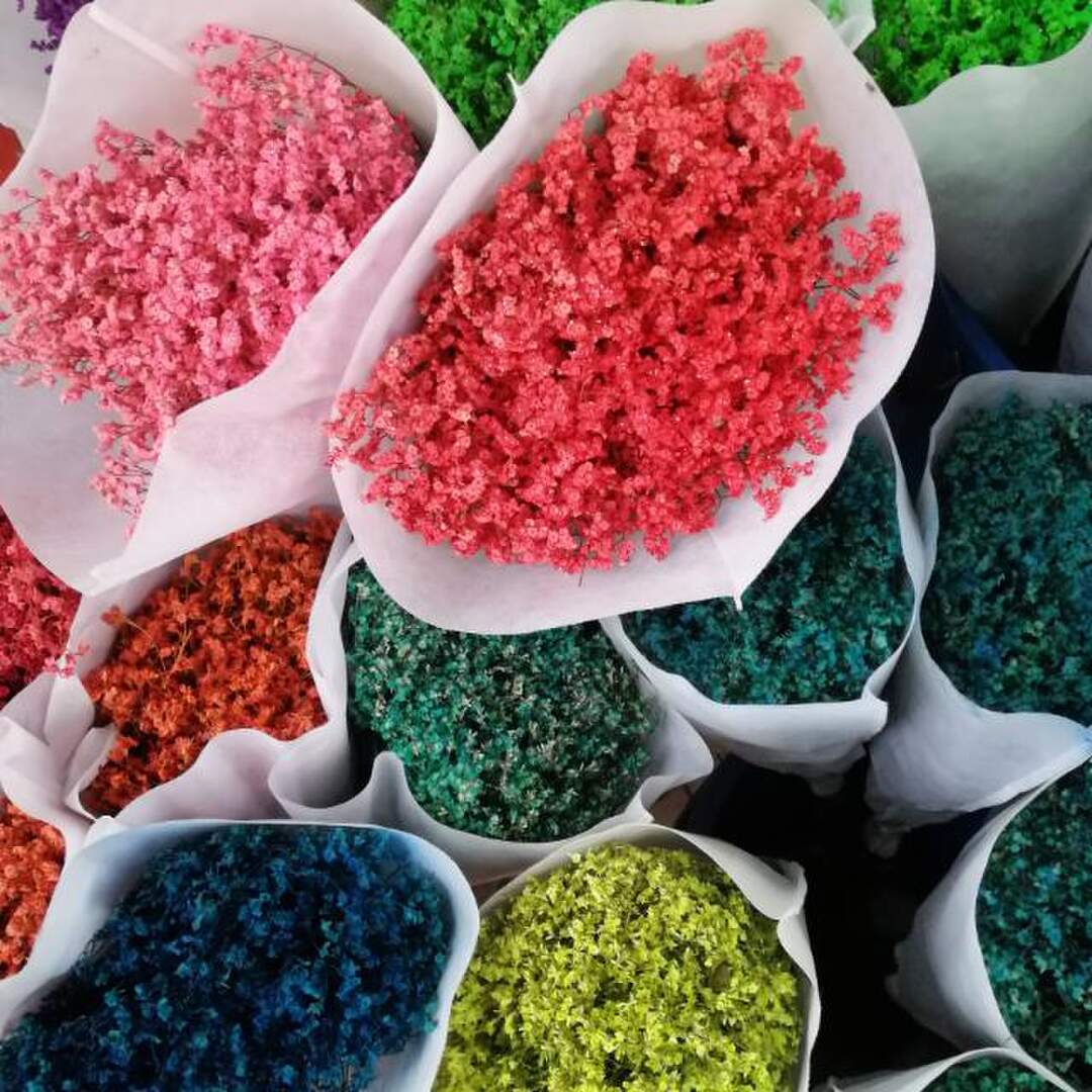 SOA, Sri Lanka u. Malediven