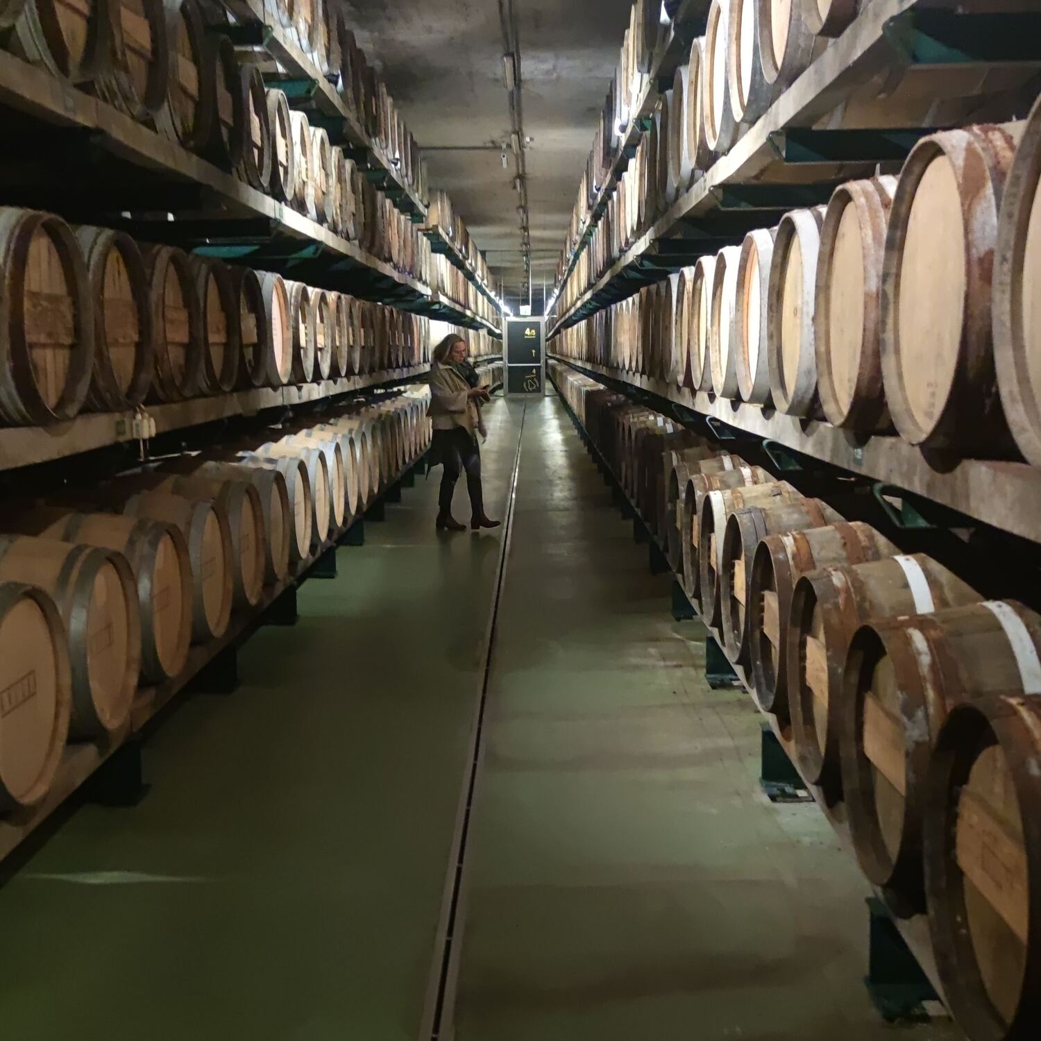 Wellness Oststeiermark