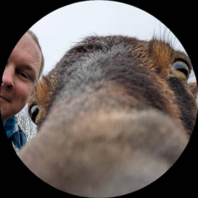 Eike de Punkt