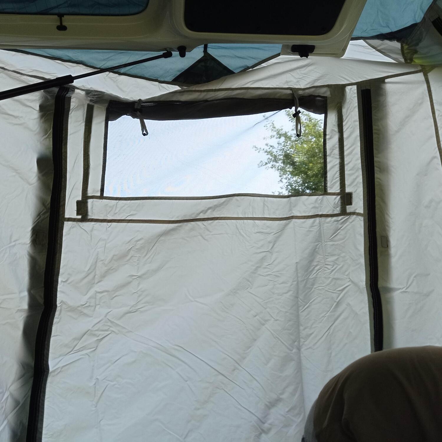 Roadtrip caddy and doggos