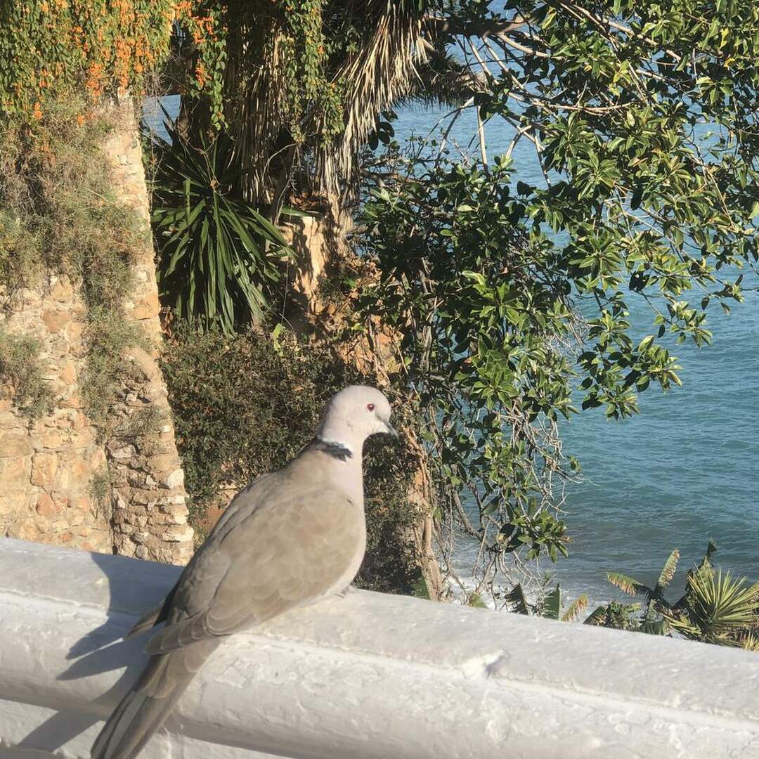 Andalusien