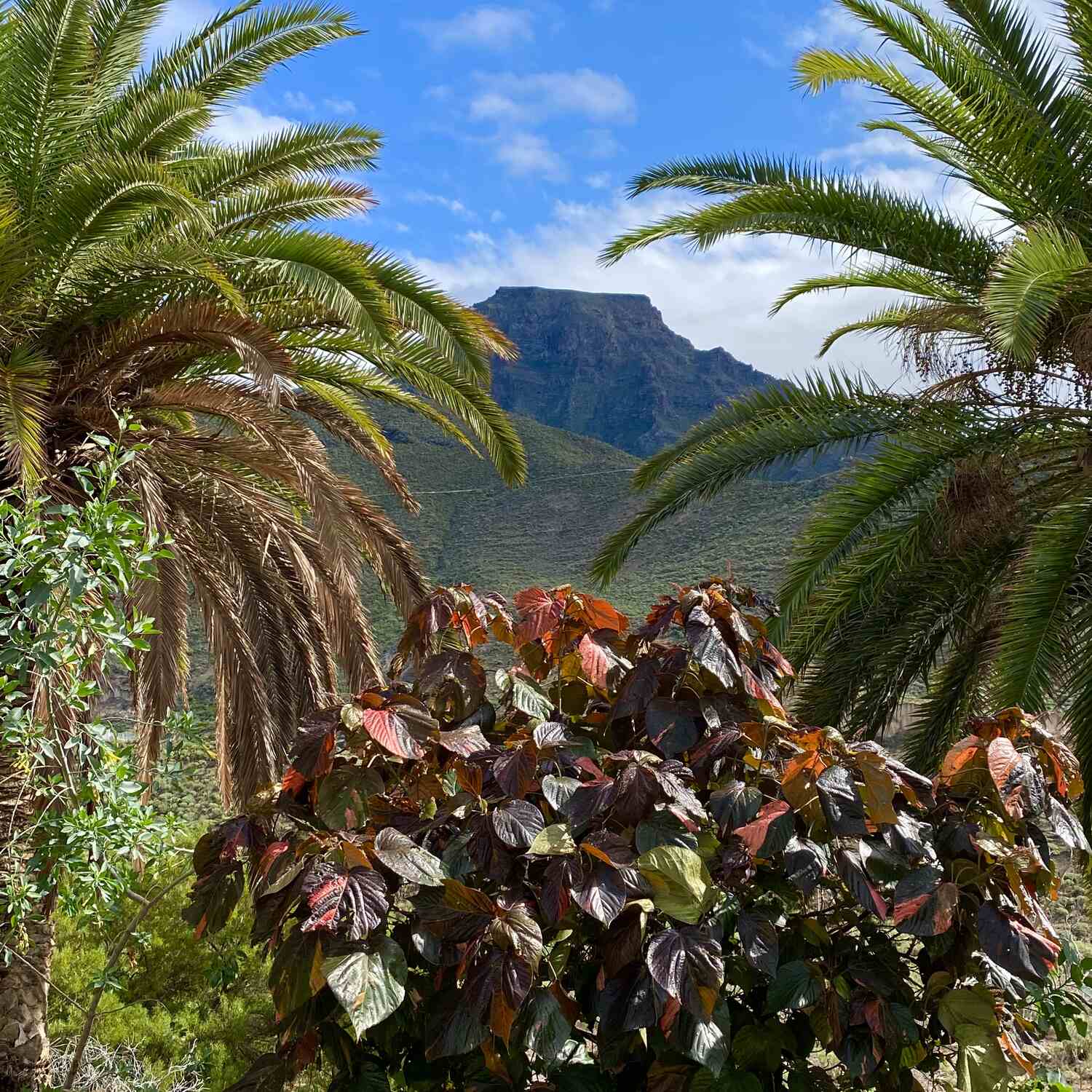 Teneriffa