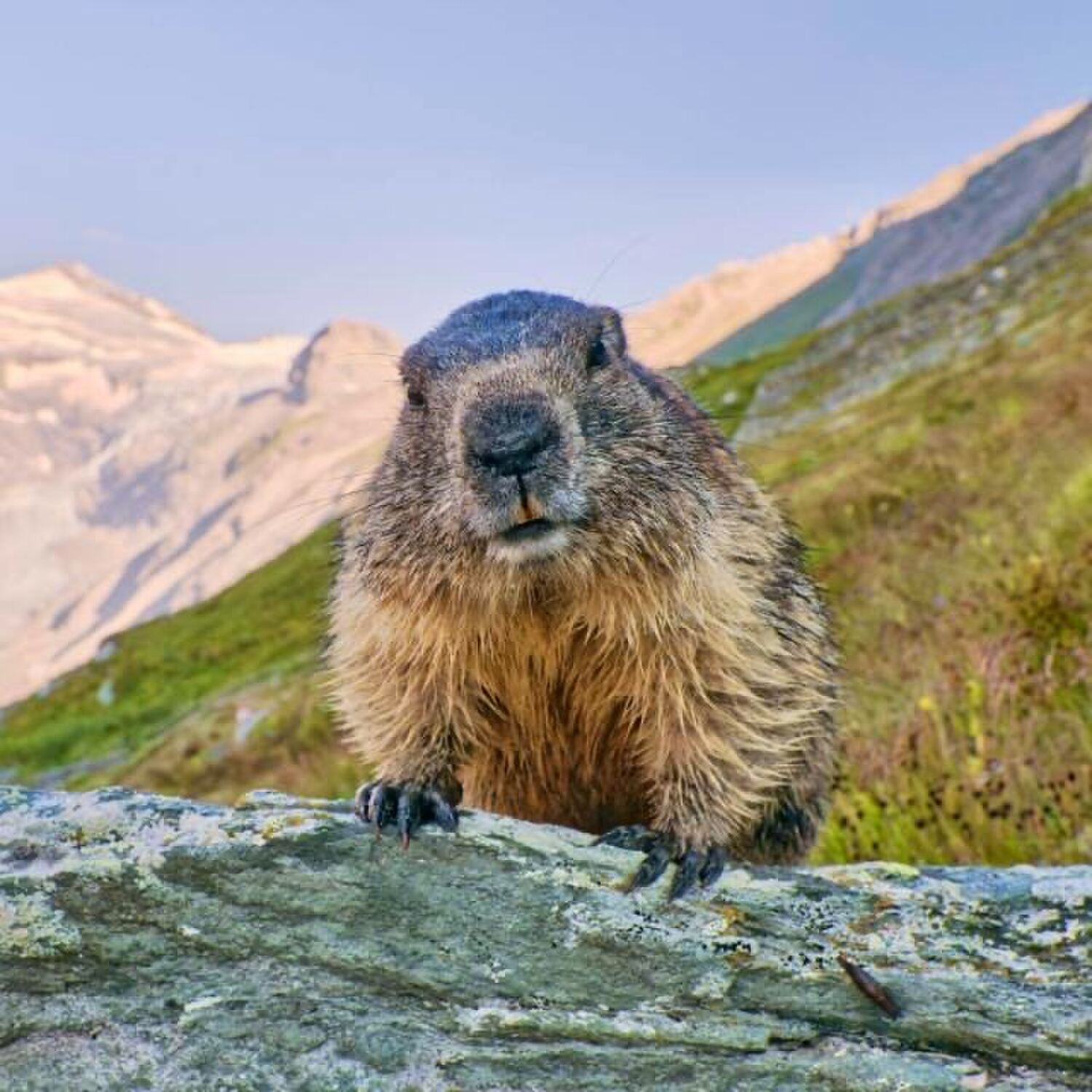 Saas-Fee