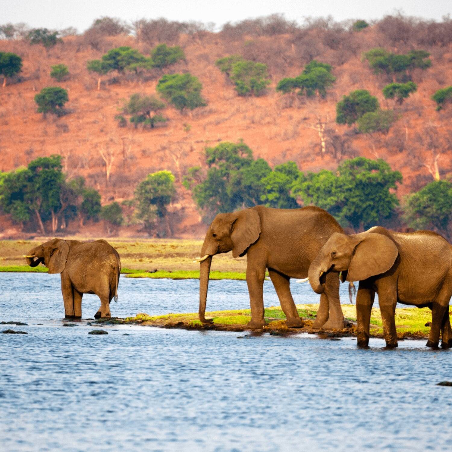 Afrika: Namibia-Botswana