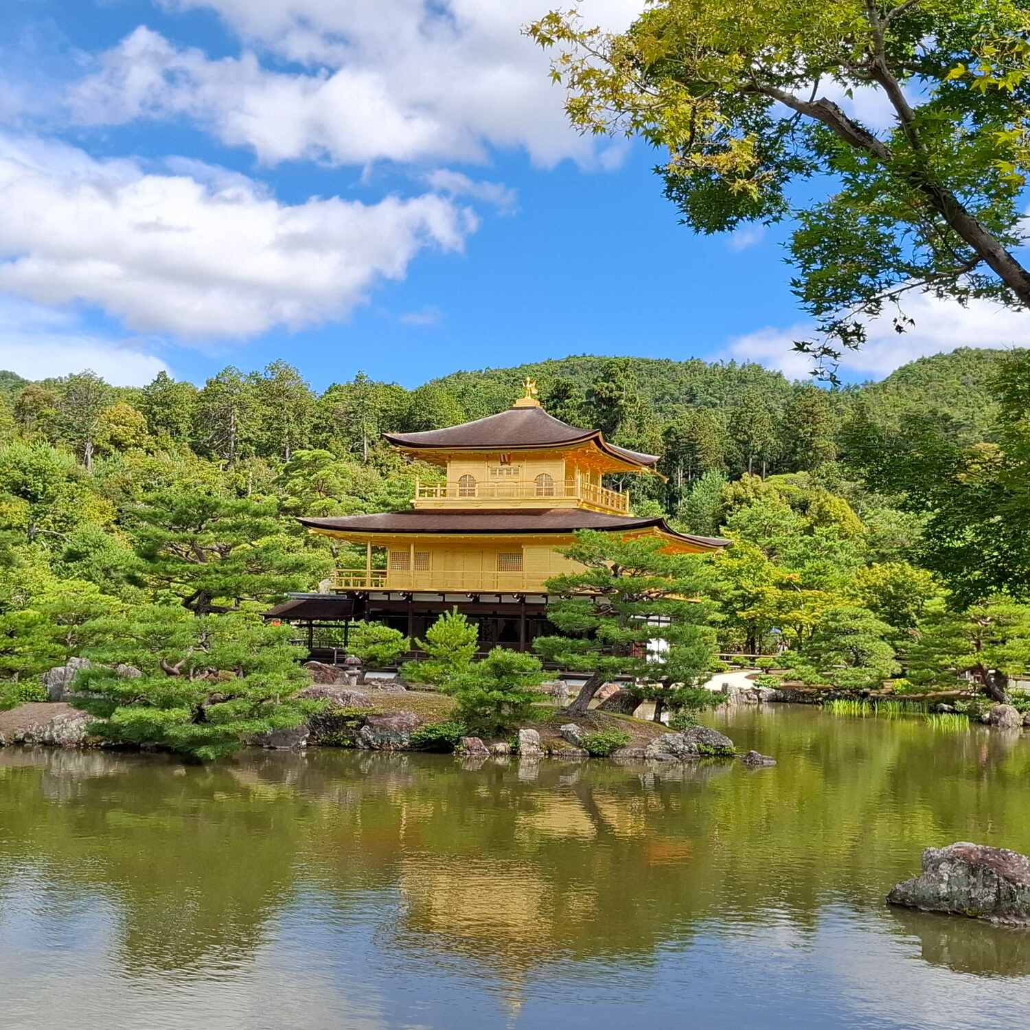 Japan mit Studiosus 2025