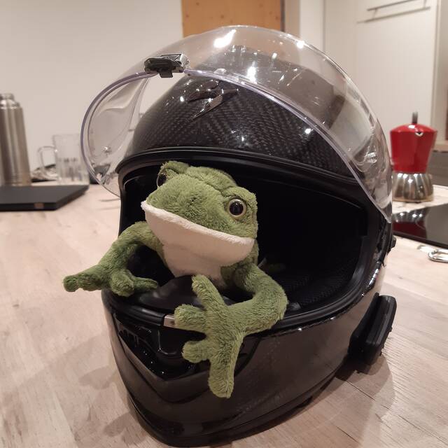 thefrogandthebike