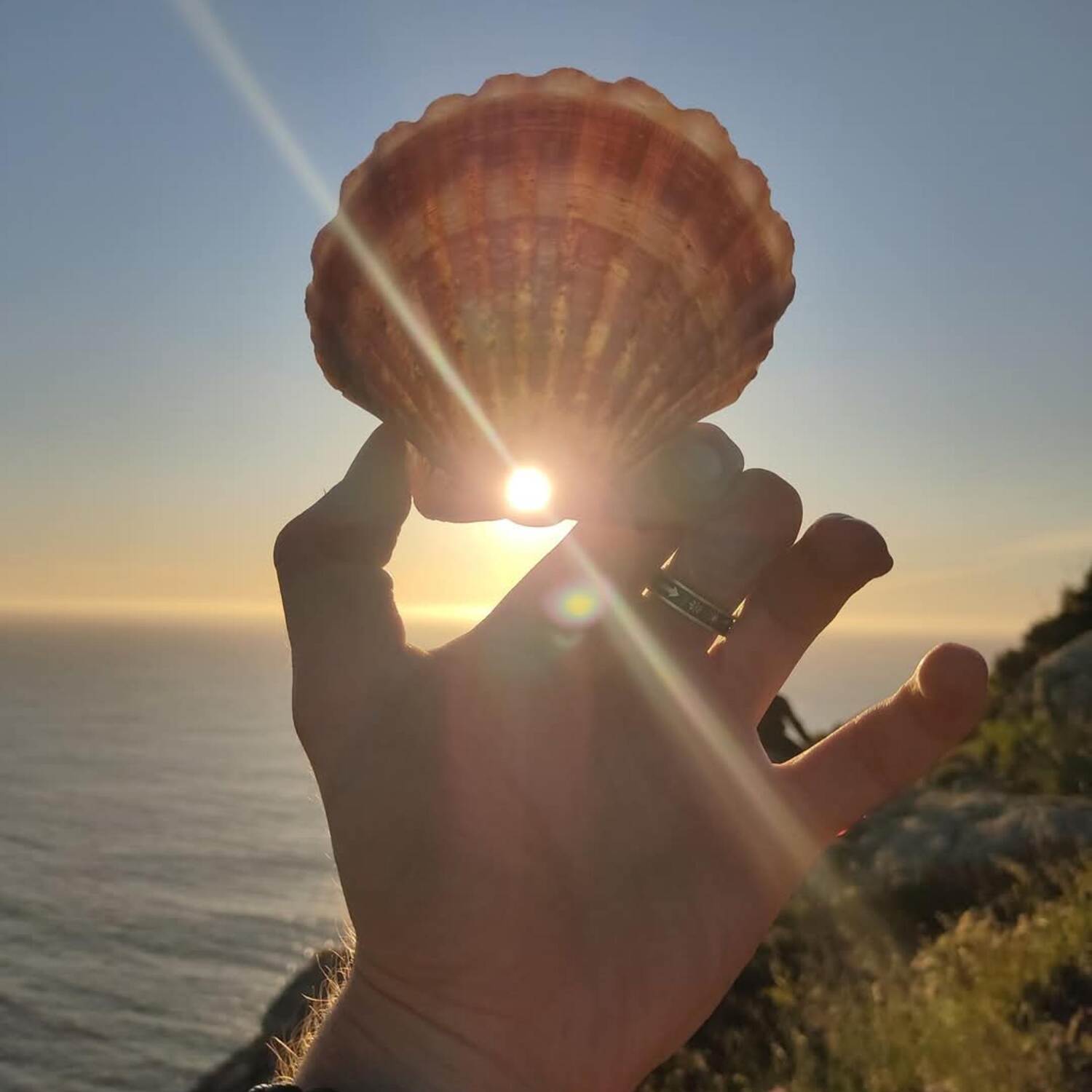 Camino del Norte