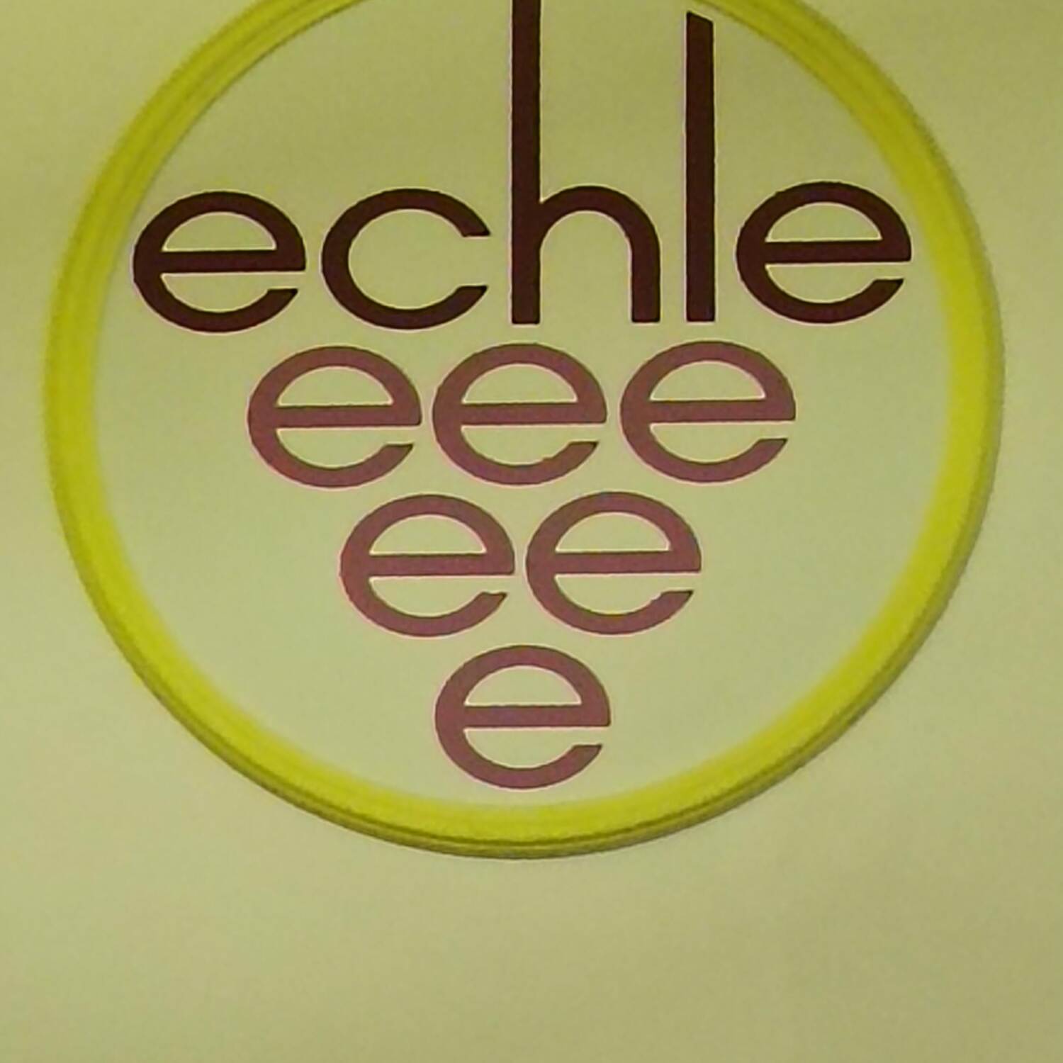Weingut Echle