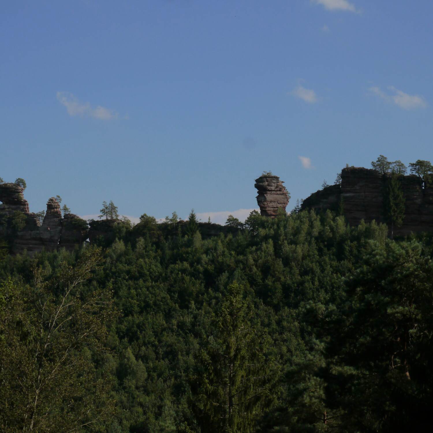 Trekkingtour Pfälzer Wald I