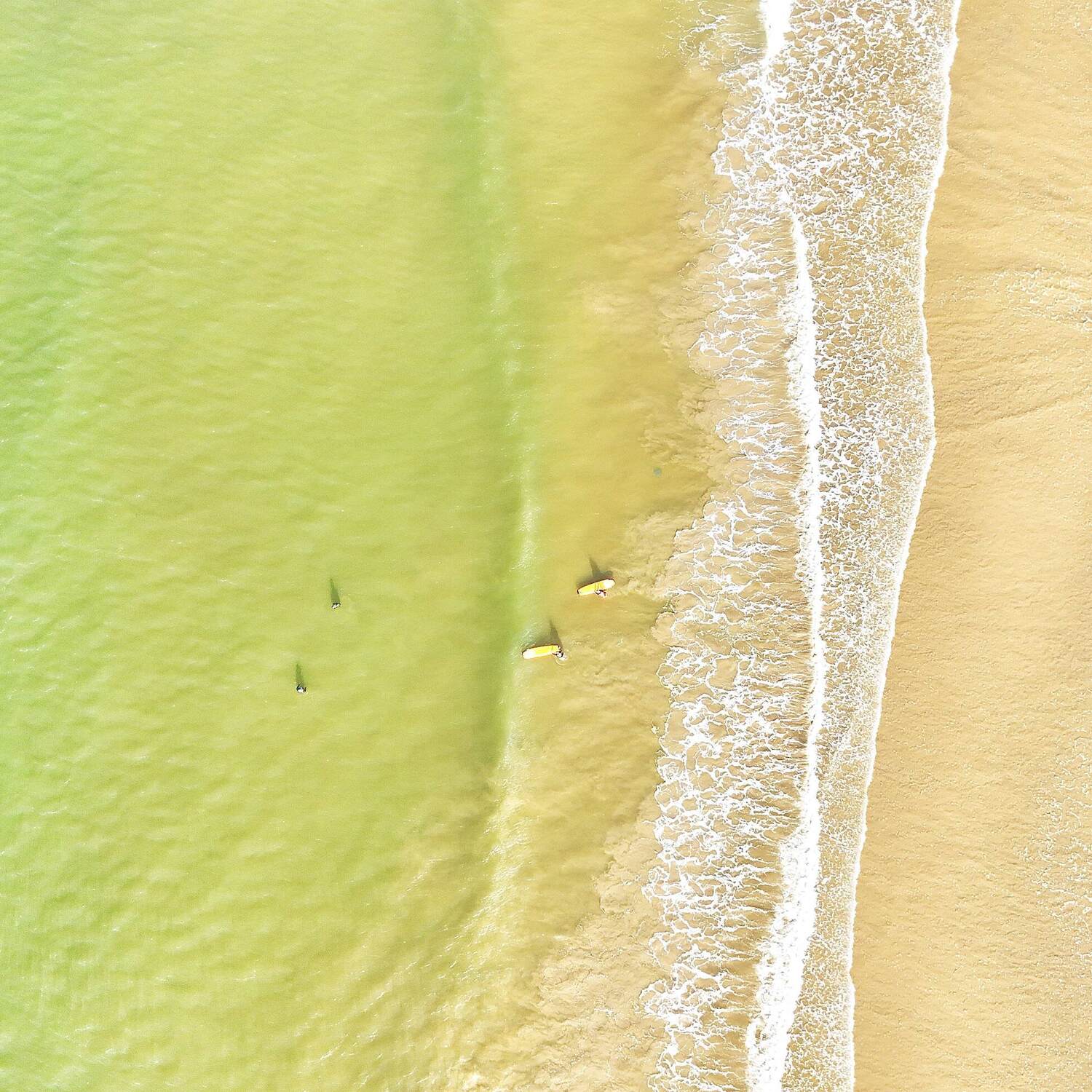 Ein ganzes halbes Jahr