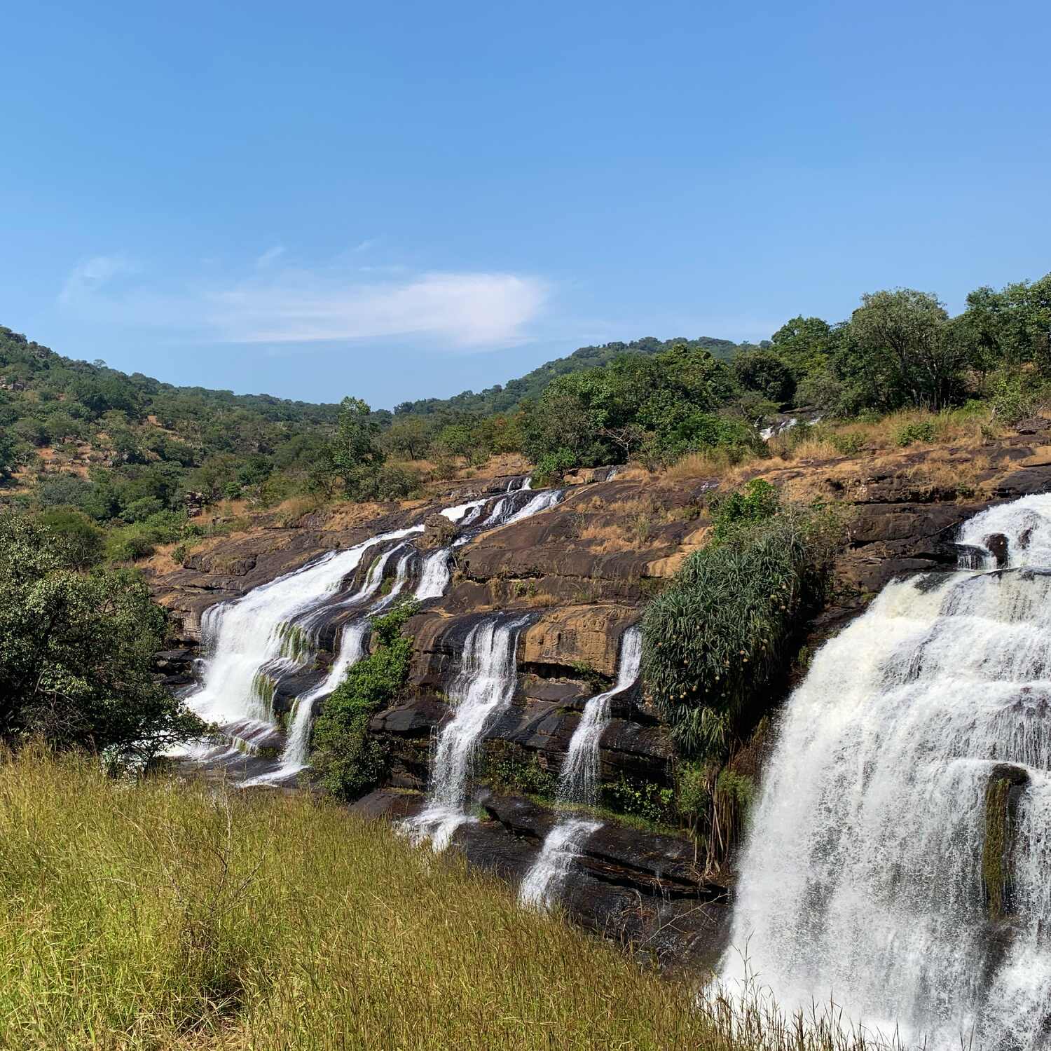 Ins grüne Herz Westafrikas