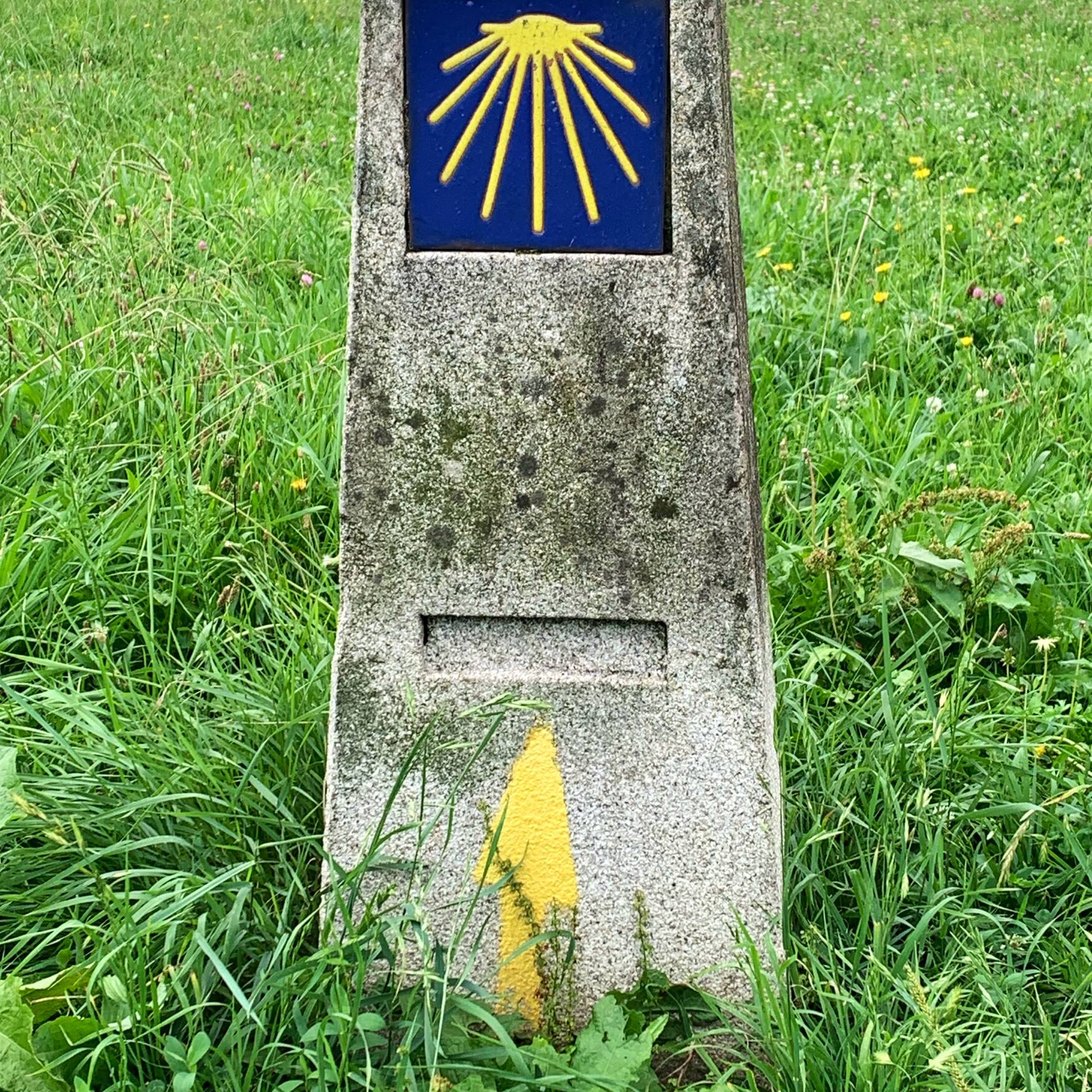 Camino de Norte