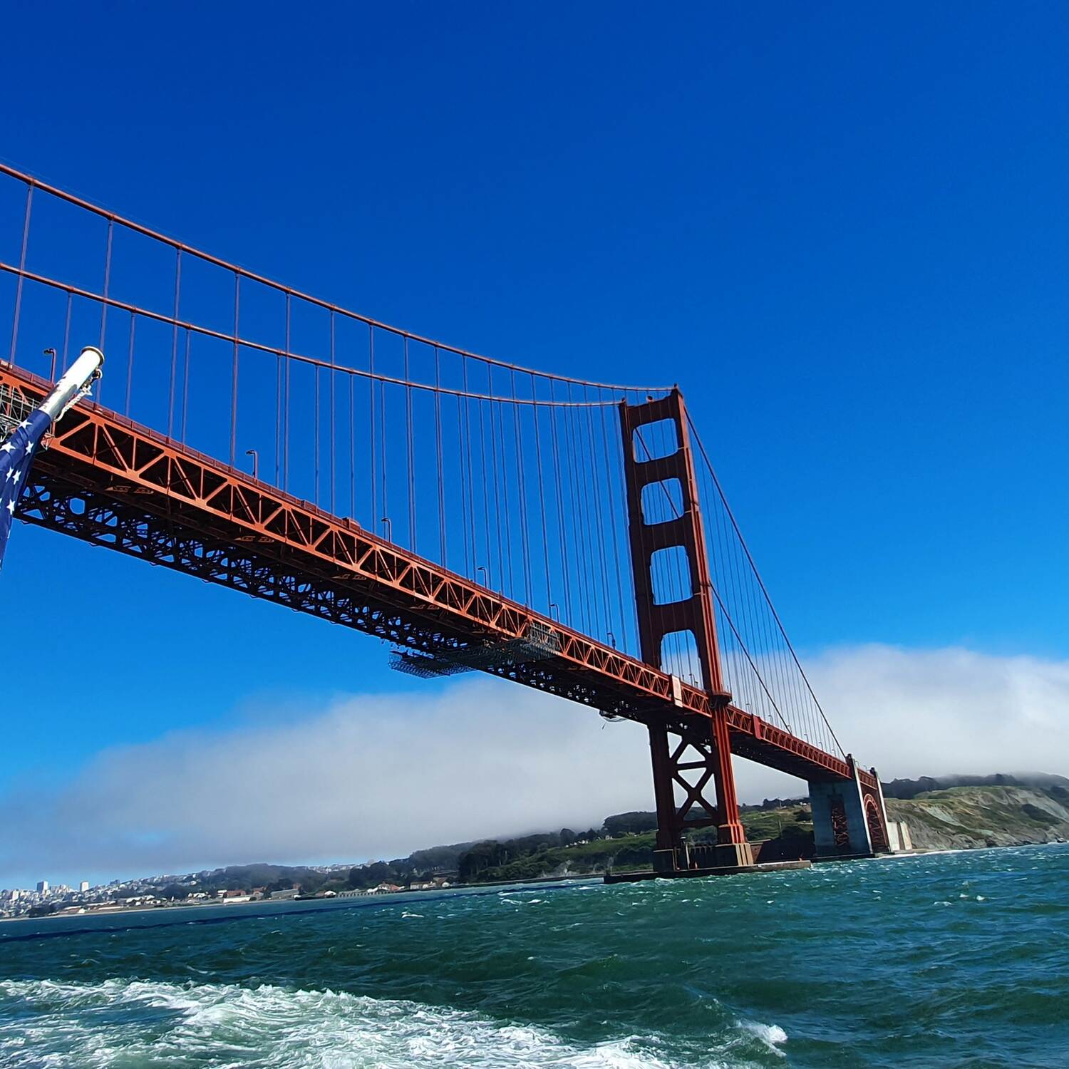 California 2024