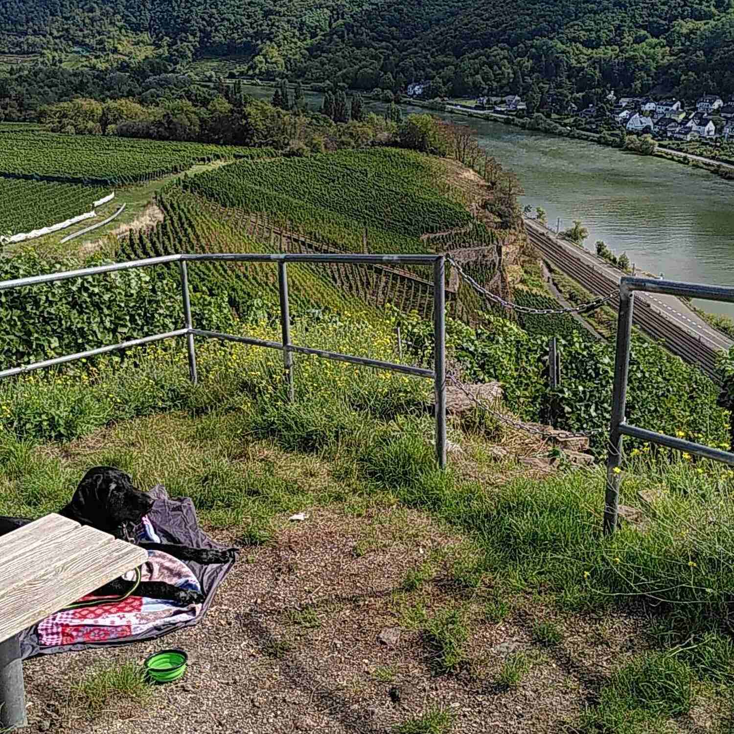 Moselsteig: Koblenz bis Cochem