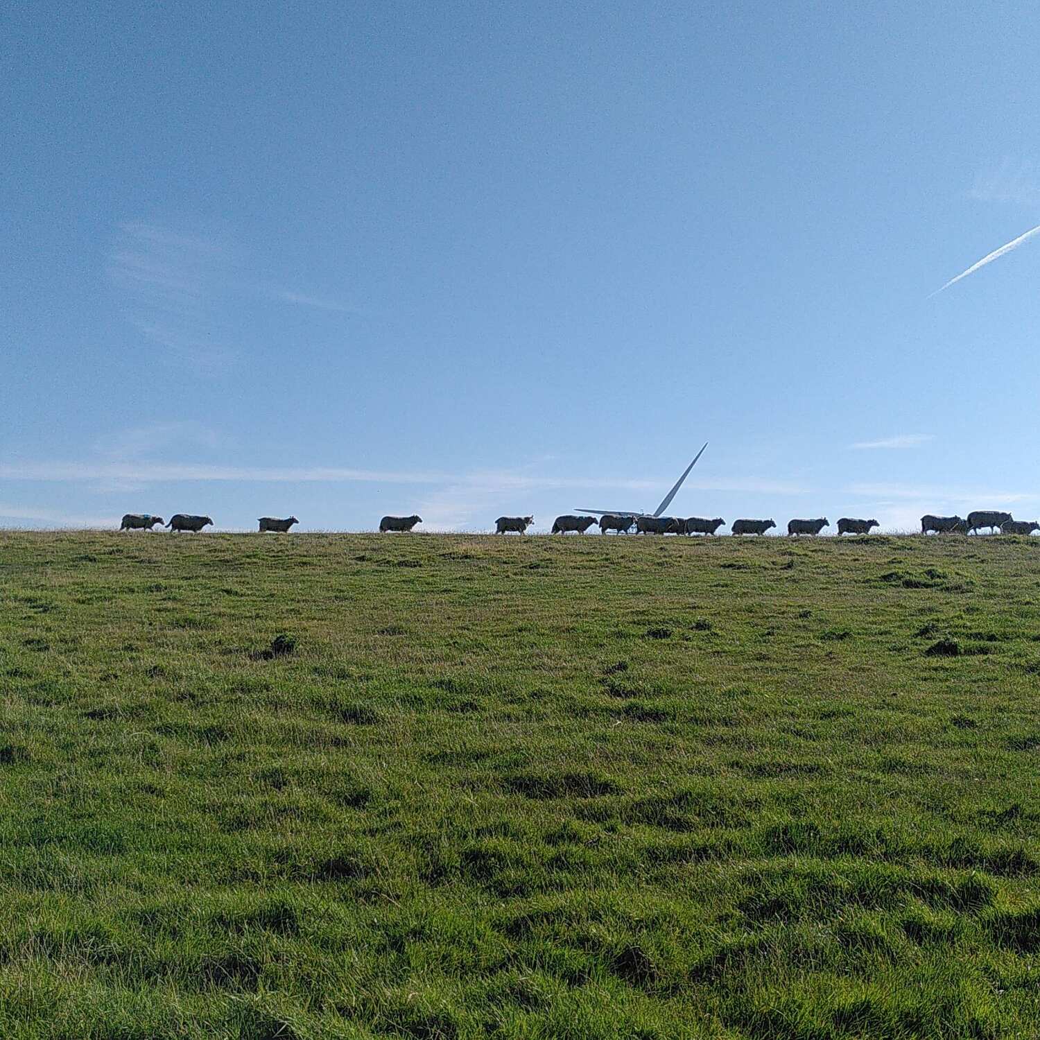 Nordsee 2023