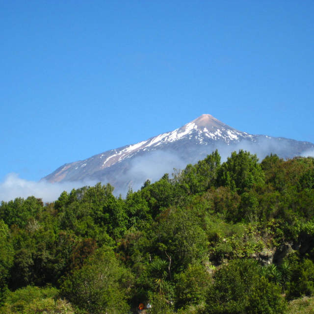 Teneriffa 2011