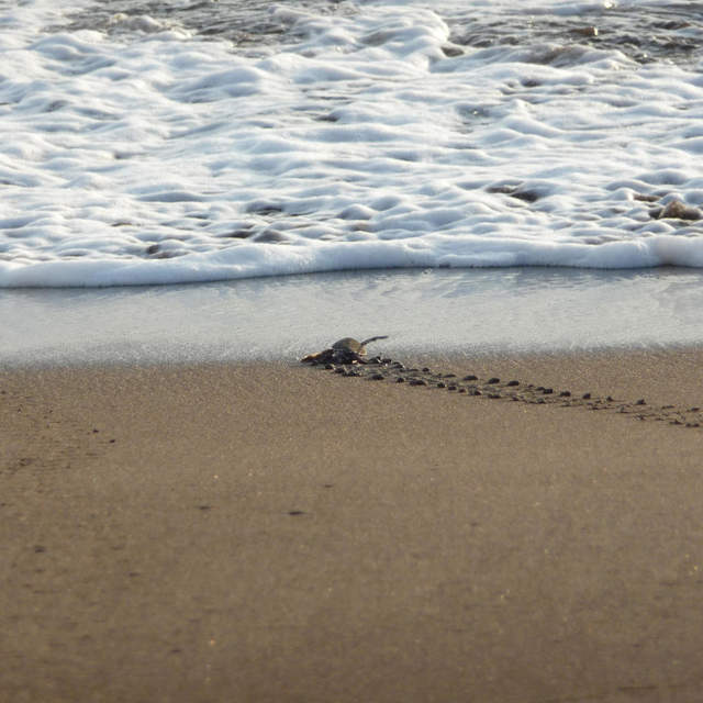 Costa Rica