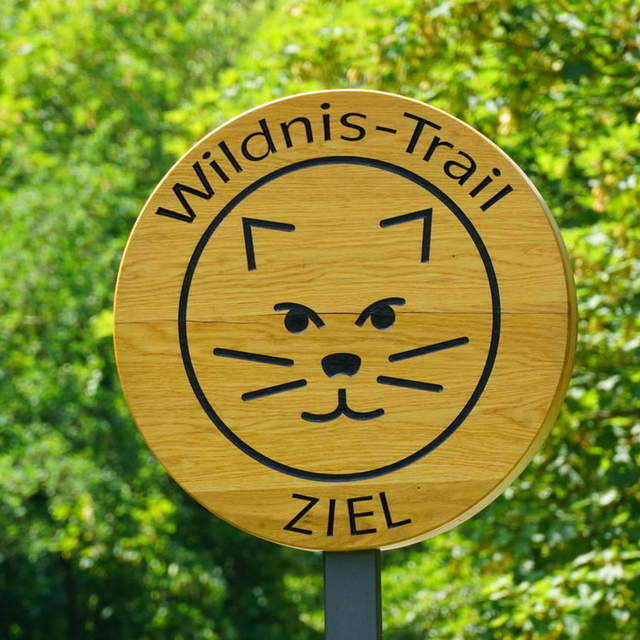 Wildnistrail - Eifel