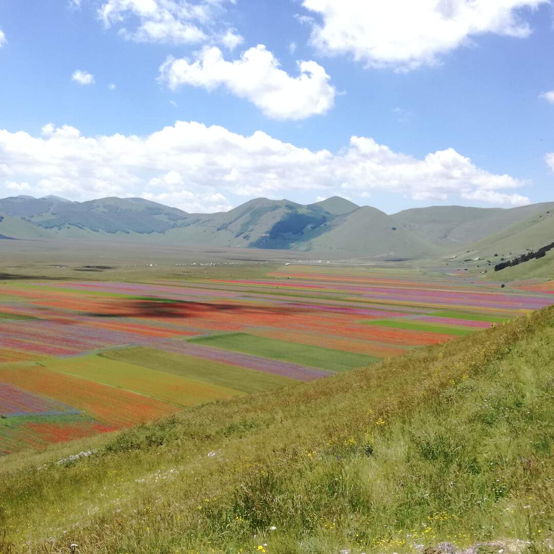 Umbria