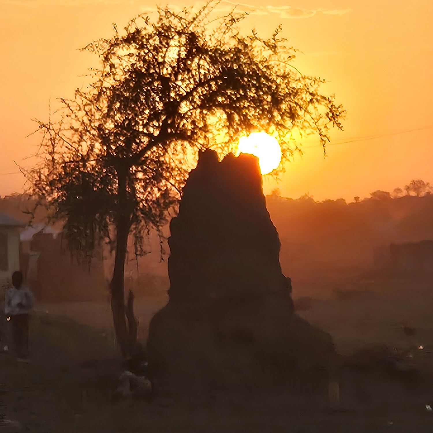 Ins wilde Herz Afrikas