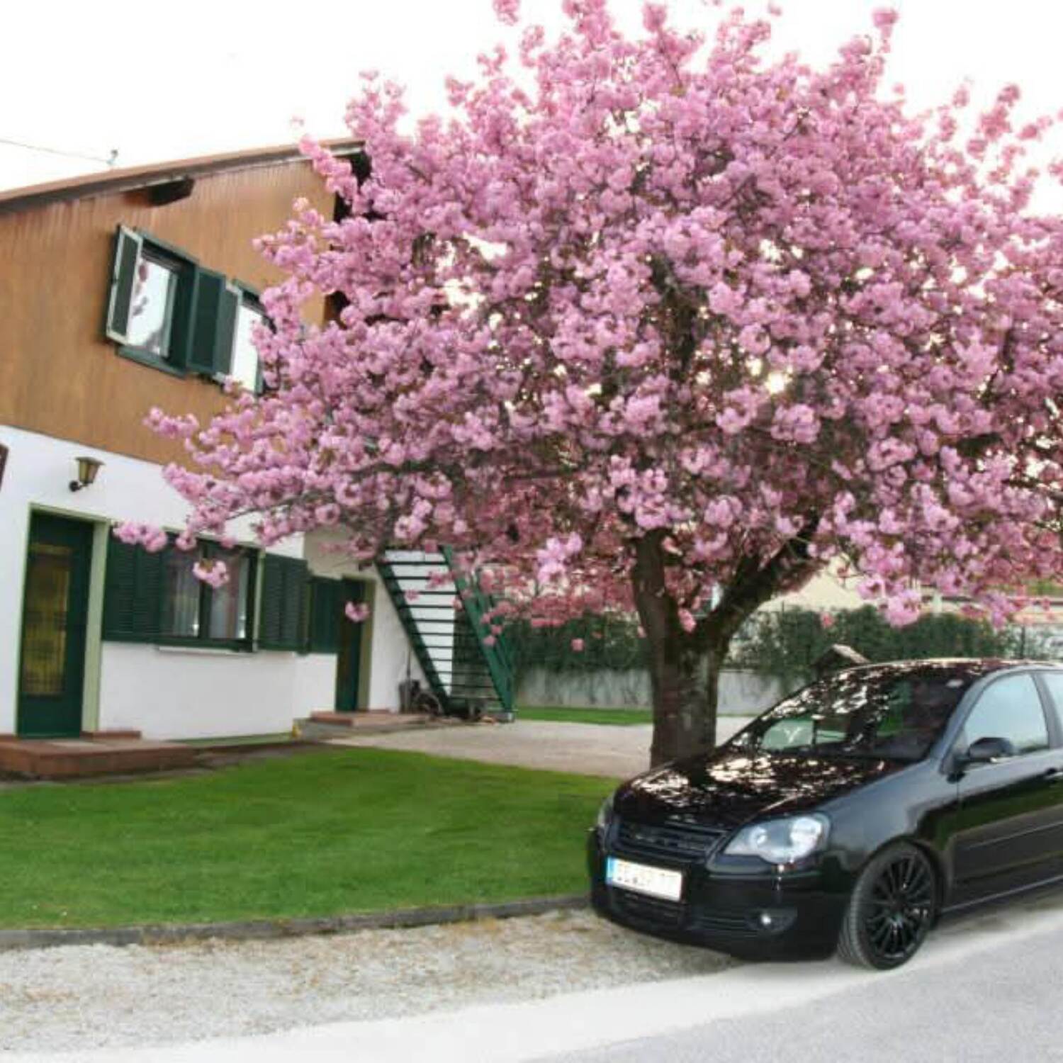 Wörthersee 2025 🇦🇹