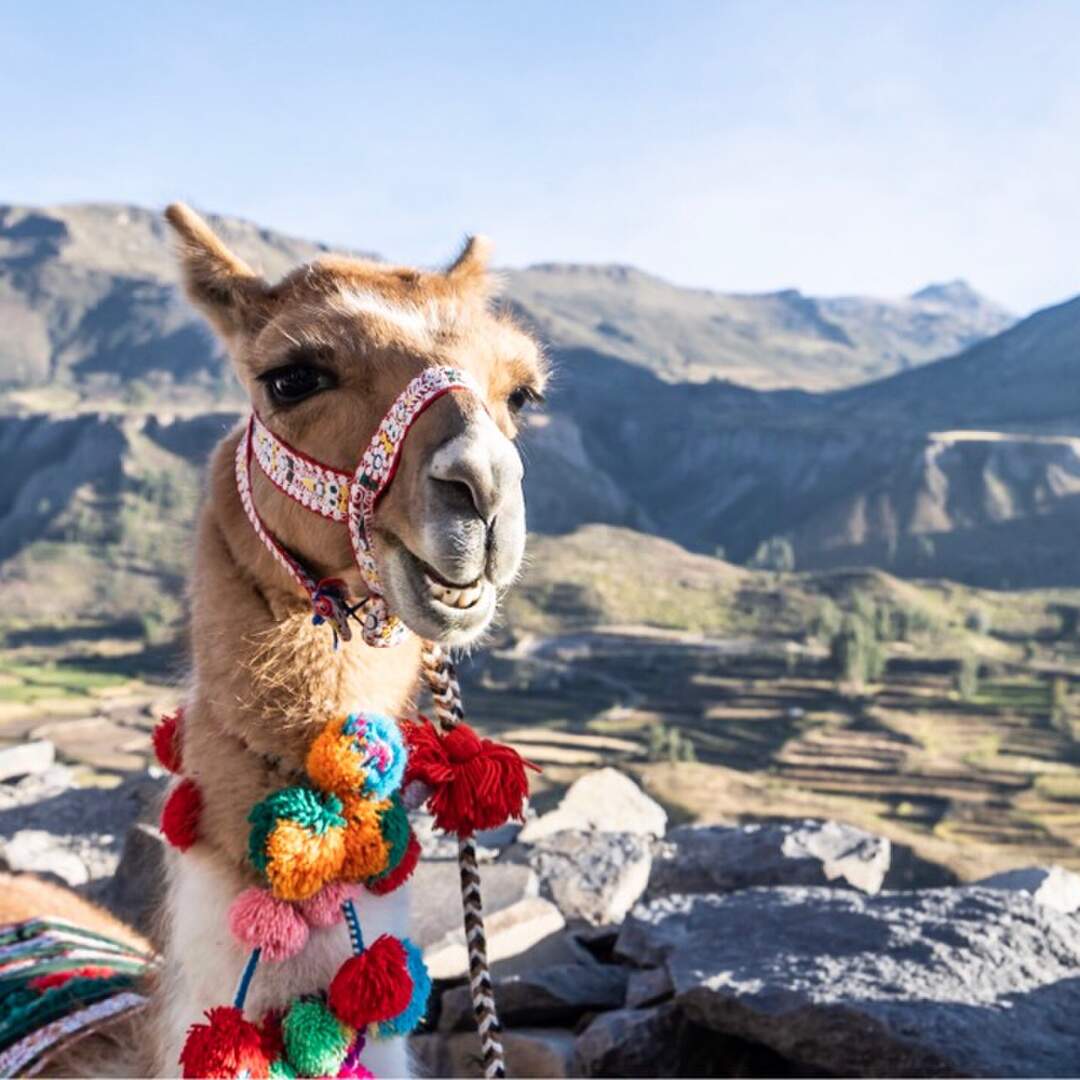 Peru & Bolivien