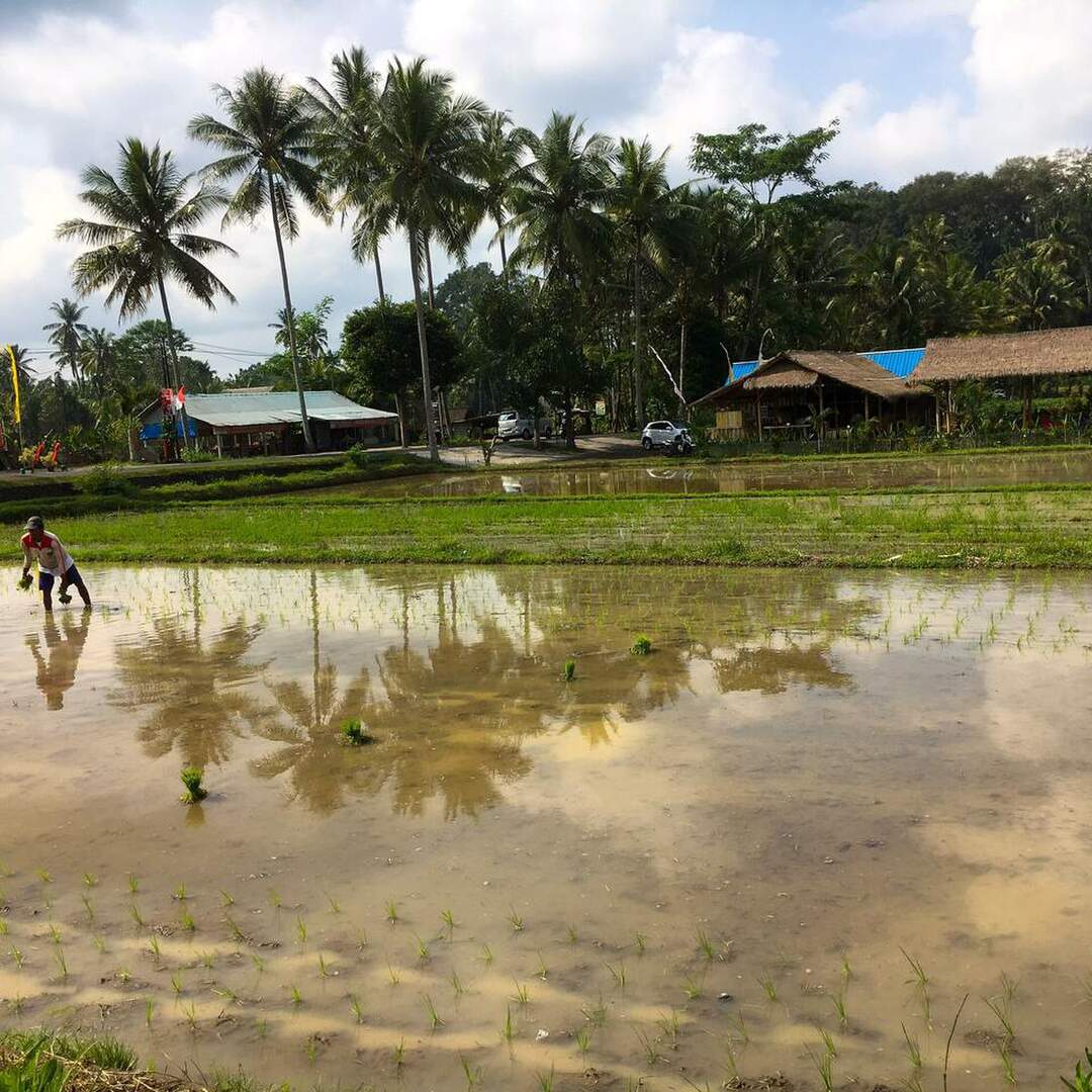 Indonesien