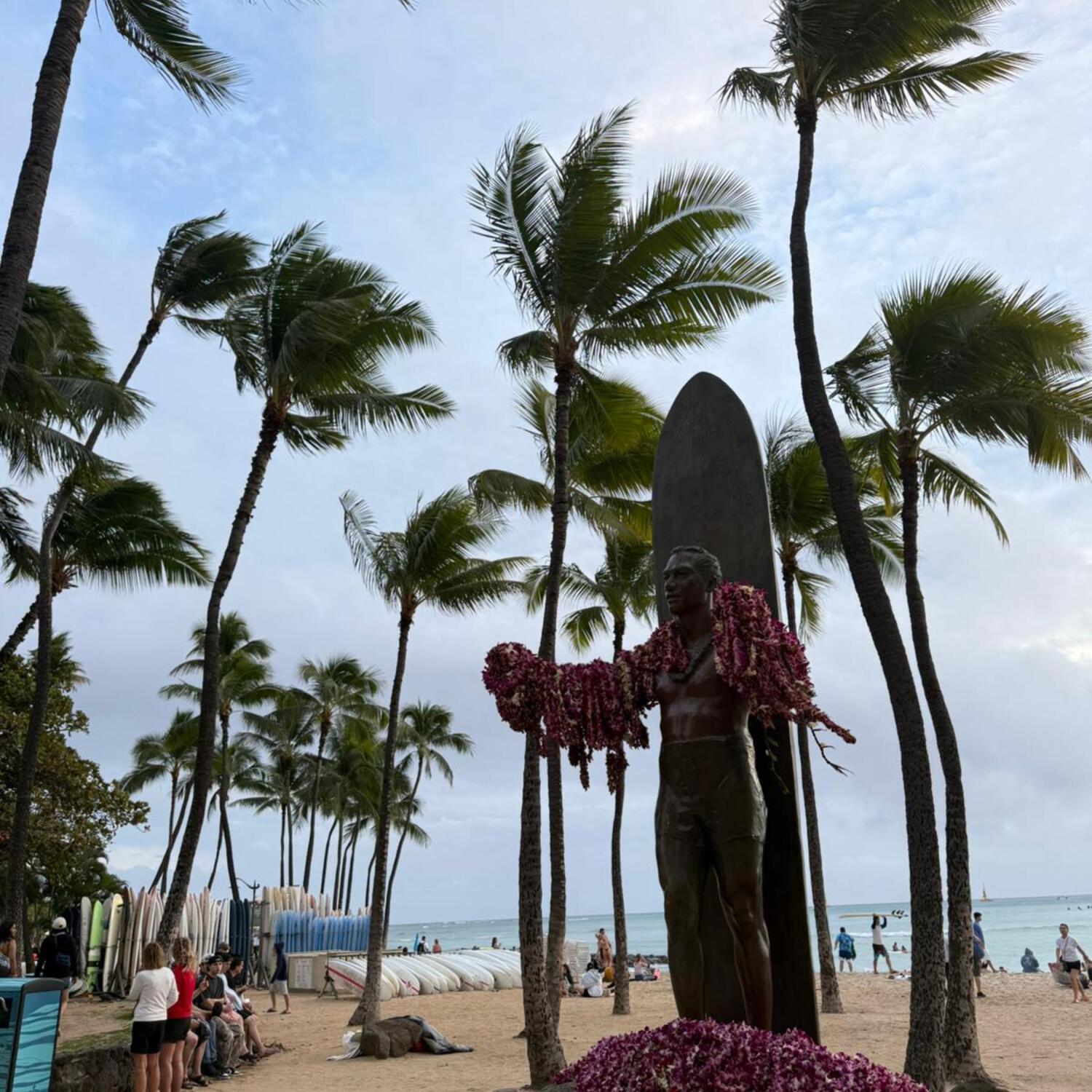 Aloha Hawaii