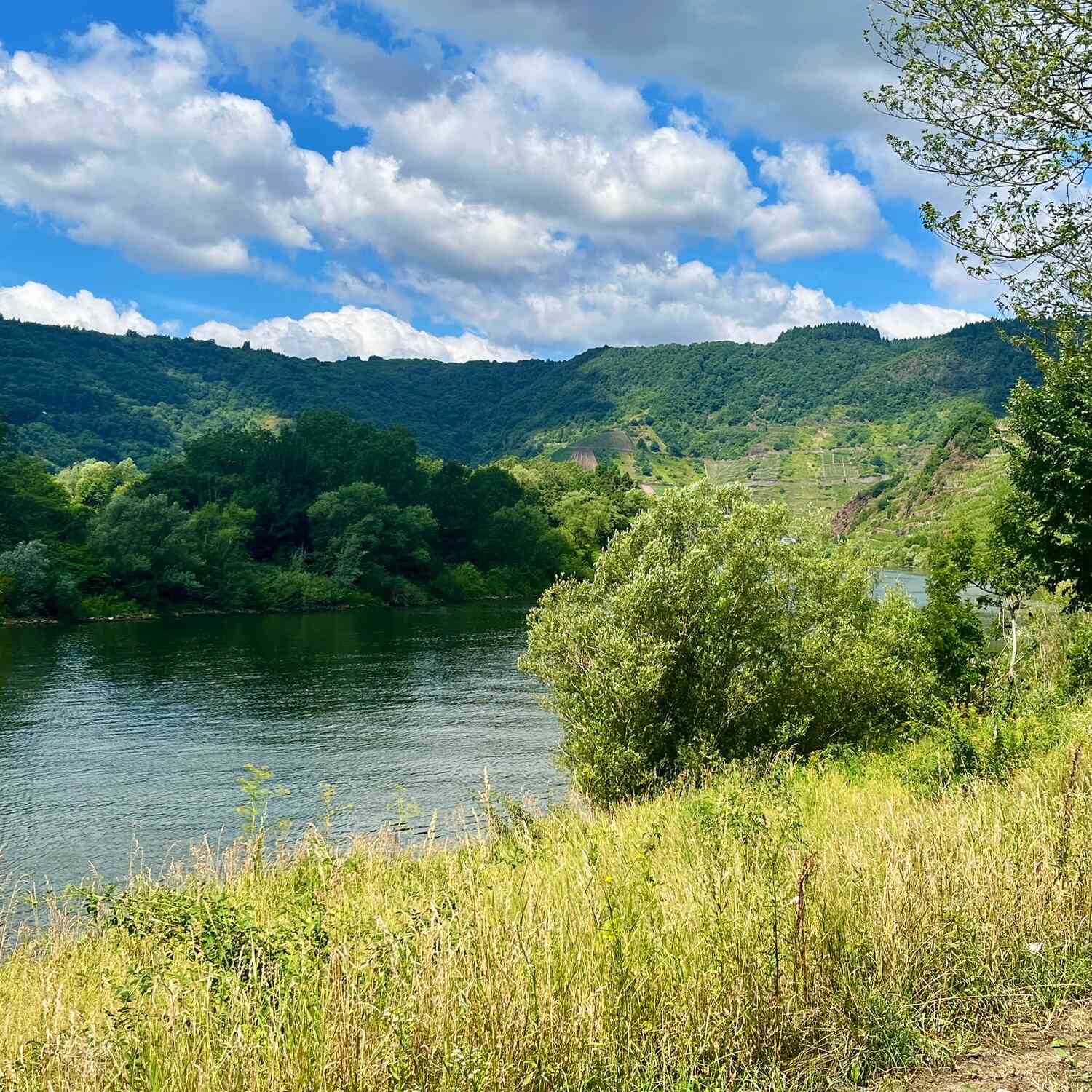Kleine Auszeit an der Mosel
