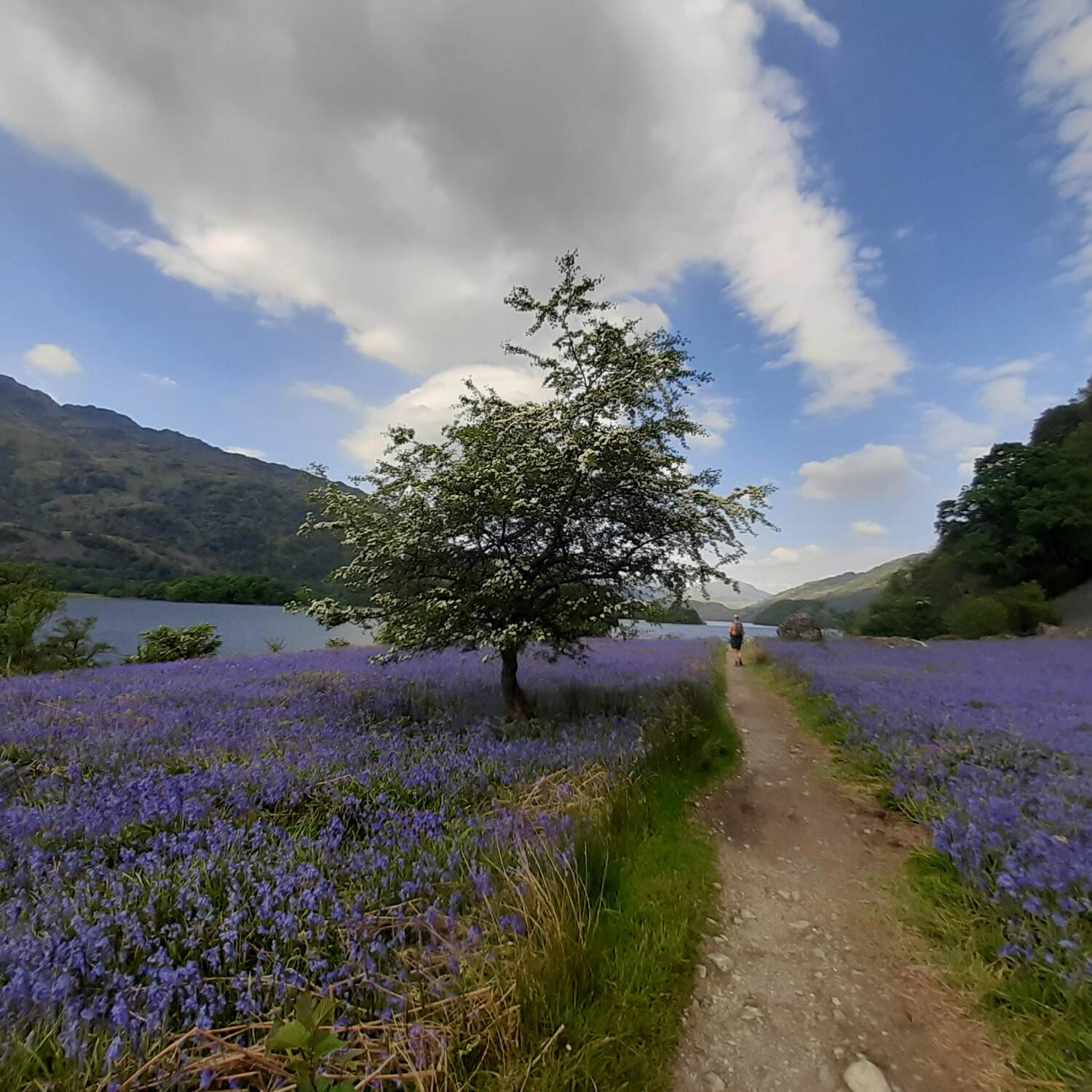 West Highland Way
