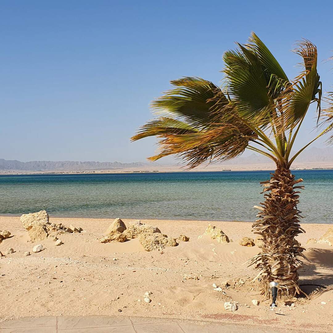 Ägypten 2022