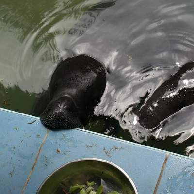 Peruvian Amazon Adventure